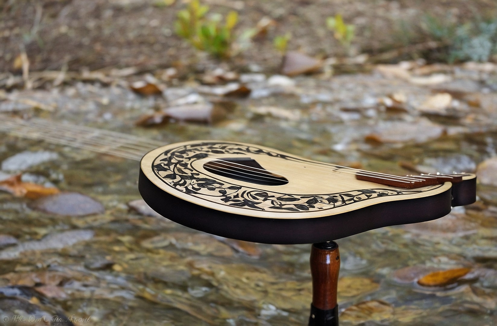 Aprendizaje adaptado de guitarra todos los niveles